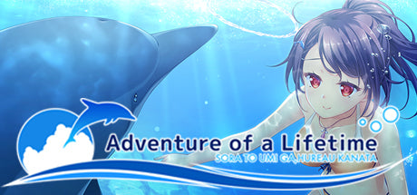 Adventure of a Lifetime (PC)