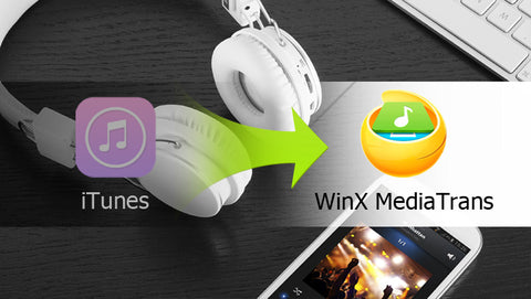 WinX MediaTrans (Lifetime License)