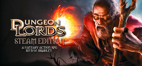 Dungeon Lords Steam Edition (PC)