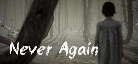 Never Again (PC)