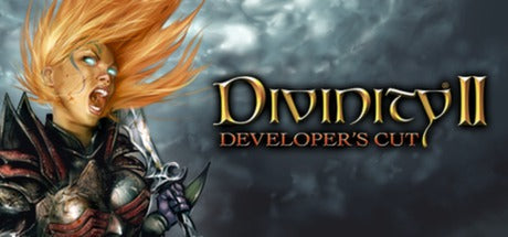 Divinity 2: Developer's Cut (PC)