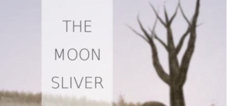 The Moon Sliver (PC)
